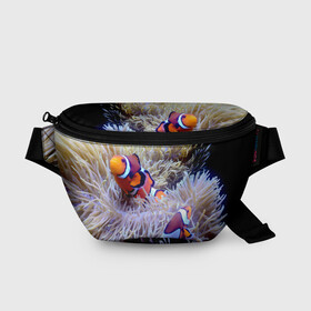 Поясная сумка 3D с принтом Клоуны в актинии в Новосибирске, 100% полиэстер | плотная ткань, ремень с регулируемой длиной, внутри несколько карманов для мелочей, основное отделение и карман с обратной стороны сумки застегиваются на молнию | актиния | клоуны | коралловые | море | подводный мир | рыбки
