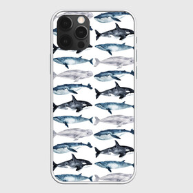 Чехол для iPhone 12 Pro Max с принтом киты в Новосибирске, Силикон |  | Тематика изображения на принте: ocean | sea | касатки | киты | море | морские мотивы | морской принт | морской фон | океан | паттерн | рыбы | текстуры