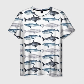 Мужская футболка 3D с принтом киты в Новосибирске, 100% полиэфир | прямой крой, круглый вырез горловины, длина до линии бедер | ocean | sea | касатки | киты | море | морские мотивы | морской принт | морской фон | океан | паттерн | рыбы | текстуры