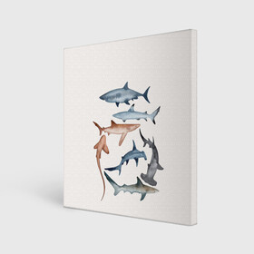 Холст квадратный с принтом акулы в Новосибирске, 100% ПВХ |  | ocean | sea | sea animal | акулы | графика | море | океан | рисунок