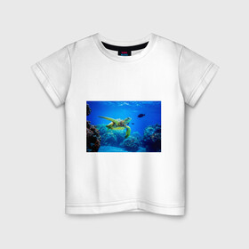 Детская футболка хлопок с принтом Морская черепаха в Новосибирске, 100% хлопок | круглый вырез горловины, полуприлегающий силуэт, длина до линии бедер | морская черепаха | океан | подводный мир | черепаха