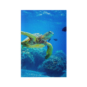Обложка для паспорта матовая кожа с принтом Морская черепаха в Новосибирске, натуральная матовая кожа | размер 19,3 х 13,7 см; прозрачные пластиковые крепления | Тематика изображения на принте: морская черепаха | океан | подводный мир | черепаха