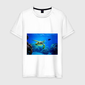 Мужская футболка хлопок с принтом Морская черепаха в Новосибирске, 100% хлопок | прямой крой, круглый вырез горловины, длина до линии бедер, слегка спущенное плечо. | морская черепаха | океан | подводный мир | черепаха
