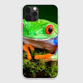 Чехол для iPhone 12 Pro Max с принтом Тропическая лягушка в Новосибирске, Силикон |  | зеленая лягушка | лягушка | тропики
