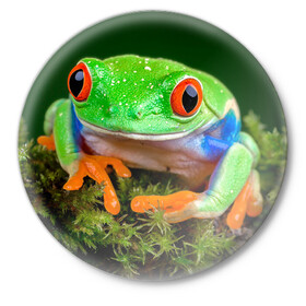 Значок с принтом Тропическая лягушка в Новосибирске,  металл | круглая форма, металлическая застежка в виде булавки | Тематика изображения на принте: зеленая лягушка | лягушка | тропики