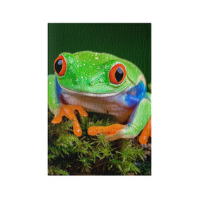 Обложка для паспорта матовая кожа с принтом Тропическая лягушка в Новосибирске, натуральная матовая кожа | размер 19,3 х 13,7 см; прозрачные пластиковые крепления | Тематика изображения на принте: зеленая лягушка | лягушка | тропики