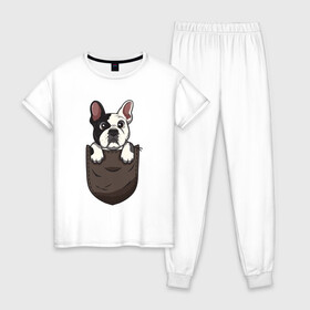 Женская пижама хлопок с принтом Карманный пёс в Новосибирске, 100% хлопок | брюки и футболка прямого кроя, без карманов, на брюках мягкая резинка на поясе и по низу штанин | Тематика изображения на принте: бульдог | дог | карман | пес | собака
