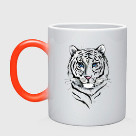 Кружка хамелеон с принтом Белый тигр в Новосибирске, керамика | меняет цвет при нагревании, емкость 330 мл | Тематика изображения на принте: альфа | белый | дикие | дикий | животные | звери | зверь | кот | котик | крутой | полоски | принт | природа | самец | тигр | тигриныйкрасивый
