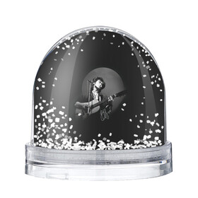 Игрушка Снежный шар с принтом Цой на концерте в Новосибирске, Пластик | Изображение внутри шара печатается на глянцевой фотобумаге с двух сторон | kino | rock | кино | музыкант | рок | русский рок | сой | тцой | цой