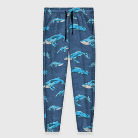 Женские брюки 3D с принтом Киты на синем в Новосибирске, полиэстер 100% | прямой крой, два кармана без застежек по бокам, с мягкой трикотажной резинкой на поясе и по низу штанин. В поясе для дополнительного комфорта — широкие завязки | whale | кит | киты | море | на синем | паттерн