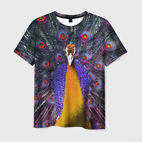 Мужская футболка 3D с принтом Павлин в Новосибирске, 100% полиэфир | прямой крой, круглый вырез горловины, длина до линии бедер | peacock | peafowl | plumage | оперение | павлин