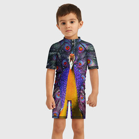 Детский купальный костюм 3D с принтом Павлин в Новосибирске, Полиэстер 85%, Спандекс 15% | застежка на молнии на спине | peacock | peafowl | plumage | оперение | павлин