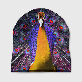 Шапка 3D с принтом Павлин в Новосибирске, 100% полиэстер | универсальный размер, печать по всей поверхности изделия | Тематика изображения на принте: peacock | peafowl | plumage | оперение | павлин
