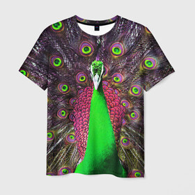 Мужская футболка 3D с принтом Оперение Павлина в Новосибирске, 100% полиэфир | прямой крой, круглый вырез горловины, длина до линии бедер | Тематика изображения на принте: peacock | peafowl | plumage | оперение | павлин