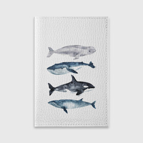Обложка для паспорта матовая кожа с принтом киты в Новосибирске, натуральная матовая кожа | размер 19,3 х 13,7 см; прозрачные пластиковые крепления | Тематика изображения на принте: ocean | orca | sea | sea animal | whale | белуха | дельфин | касатка | кит | море | океан | рисунок кита | синий кит