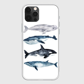 Чехол для iPhone 12 Pro Max с принтом киты в Новосибирске, Силикон |  | ocean | orca | sea | sea animal | whale | белуха | дельфин | касатка | кит | море | океан | рисунок кита | синий кит