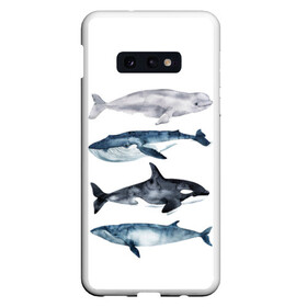 Чехол для Samsung S10E с принтом киты в Новосибирске, Силикон | Область печати: задняя сторона чехла, без боковых панелей | ocean | orca | sea | sea animal | whale | белуха | дельфин | касатка | кит | море | океан | рисунок кита | синий кит