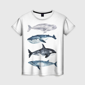 Женская футболка 3D с принтом киты в Новосибирске, 100% полиэфир ( синтетическое хлопкоподобное полотно) | прямой крой, круглый вырез горловины, длина до линии бедер | ocean | orca | sea | sea animal | whale | белуха | дельфин | касатка | кит | море | океан | рисунок кита | синий кит