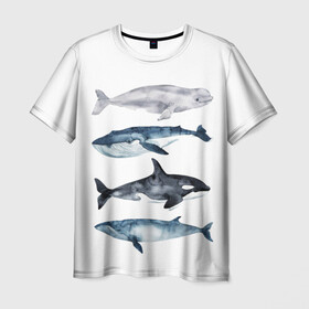 Мужская футболка 3D с принтом киты в Новосибирске, 100% полиэфир | прямой крой, круглый вырез горловины, длина до линии бедер | ocean | orca | sea | sea animal | whale | белуха | дельфин | касатка | кит | море | океан | рисунок кита | синий кит
