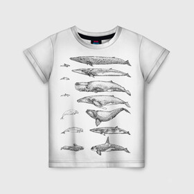 Детская футболка 3D с принтом киты графика в Новосибирске, 100% гипоаллергенный полиэфир | прямой крой, круглый вырез горловины, длина до линии бедер, чуть спущенное плечо, ткань немного тянется | ocean | orca | sea | sea animal | whale | графика | дельфин | касатка | кит | море | океан | плакат | рисунок кита