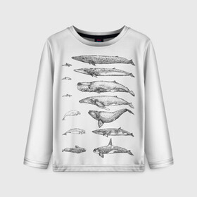 Детский лонгслив 3D с принтом киты графика в Новосибирске, 100% полиэстер | длинные рукава, круглый вырез горловины, полуприлегающий силуэт
 | Тематика изображения на принте: ocean | orca | sea | sea animal | whale | графика | дельфин | касатка | кит | море | океан | плакат | рисунок кита