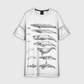 Детское платье 3D с принтом киты графика в Новосибирске, 100% полиэстер | прямой силуэт, чуть расширенный к низу. Круглая горловина, на рукавах — воланы | Тематика изображения на принте: ocean | orca | sea | sea animal | whale | графика | дельфин | касатка | кит | море | океан | плакат | рисунок кита