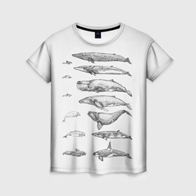 Женская футболка 3D с принтом киты графика в Новосибирске, 100% полиэфир ( синтетическое хлопкоподобное полотно) | прямой крой, круглый вырез горловины, длина до линии бедер | ocean | orca | sea | sea animal | whale | графика | дельфин | касатка | кит | море | океан | плакат | рисунок кита