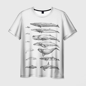 Мужская футболка 3D с принтом киты графика в Новосибирске, 100% полиэфир | прямой крой, круглый вырез горловины, длина до линии бедер | ocean | orca | sea | sea animal | whale | графика | дельфин | касатка | кит | море | океан | плакат | рисунок кита