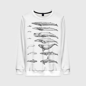 Женский свитшот 3D с принтом киты графика в Новосибирске, 100% полиэстер с мягким внутренним слоем | круглый вырез горловины, мягкая резинка на манжетах и поясе, свободная посадка по фигуре | ocean | orca | sea | sea animal | whale | графика | дельфин | касатка | кит | море | океан | плакат | рисунок кита