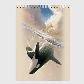 Скетчбук с принтом косатка в Новосибирске, 100% бумага
 | 48 листов, плотность листов — 100 г/м2, плотность картонной обложки — 250 г/м2. Листы скреплены сверху удобной пружинной спиралью | Тематика изображения на принте: ocean | orca | sea | sea animal | whale | дельфин | касатка | кит | море | океан | рисунок кита