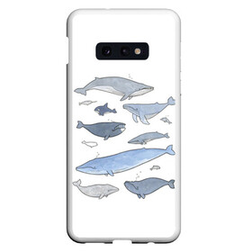 Чехол для Samsung S10E с принтом киты в Новосибирске, Силикон | Область печати: задняя сторона чехла, без боковых панелей | ocean | orca | sea | sea animal | whale | графика | дельфин | иллюстрация | касатка | кит | море | океан | рисунок кита