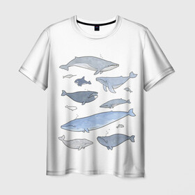 Мужская футболка 3D с принтом киты в Новосибирске, 100% полиэфир | прямой крой, круглый вырез горловины, длина до линии бедер | ocean | orca | sea | sea animal | whale | графика | дельфин | иллюстрация | касатка | кит | море | океан | рисунок кита