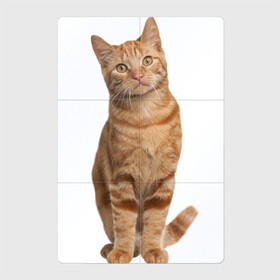 Магнитный плакат 2Х3 с принтом Рыжий кот в Новосибирске, Полимерный материал с магнитным слоем | 6 деталей размером 9*9 см | Тематика изображения на принте: киса | котенок | котик | кошка | настоящий кот | рыжий кот | фото