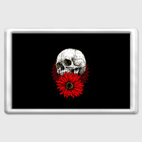Магнит 45*70 с принтом Череп и Красный Цветок Skull в Новосибирске, Пластик | Размер: 78*52 мм; Размер печати: 70*45 | flowers | head | skulls | букет | голова | животные | кости | мозги | паттерн | полосы | природа | розы | скелет | текстура | узор | флора | хо | цветы | черепа | черный | яркий