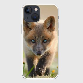 Чехол для iPhone 13 mini с принтом Лисичка в Новосибирске,  |  | fox | foxy | животное | звери | лиса | лисенок | лисичка | милая | рыжая | фокс