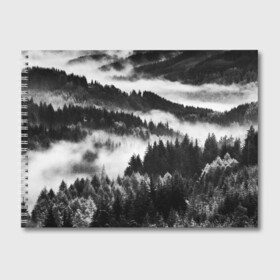 Альбом для рисования с принтом ТУМАННЫЙ ЛЕС  МРАЧНЫЙ ЛЕС в Новосибирске, 100% бумага
 | матовая бумага, плотность 200 мг. | Тематика изображения на принте: tegunvteg | деревья | ели | лес | мрачный | природа | туман | туманный