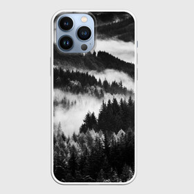 Чехол для iPhone 13 Pro Max с принтом ТУМАННЫЙ ЛЕС  МРАЧНЫЙ ЛЕС в Новосибирске,  |  | tegunvteg | деревья | ели | лес | мрачный | природа | туман | туманный