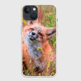 Чехол для iPhone 13 с принтом Лисичка в Новосибирске,  |  | fox | foxy | животное | звери | лиса | лисенок | лисичка | милая | рыжая | фокс