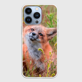 Чехол для iPhone 13 Pro с принтом Лисичка в Новосибирске,  |  | fox | foxy | животное | звери | лиса | лисенок | лисичка | милая | рыжая | фокс