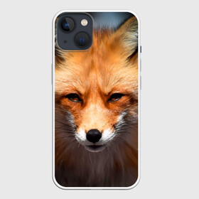 Чехол для iPhone 13 с принтом Хитрая лисица в Новосибирске,  |  | fox | foxy | животное | звери | лиса | лисенок | лисичка | милая | рыжая | фокс