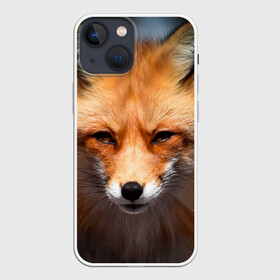 Чехол для iPhone 13 mini с принтом Хитрая лисица в Новосибирске,  |  | fox | foxy | животное | звери | лиса | лисенок | лисичка | милая | рыжая | фокс