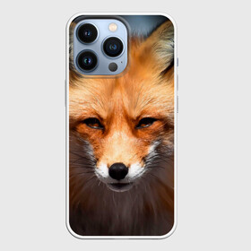 Чехол для iPhone 13 Pro с принтом Хитрая лисица в Новосибирске,  |  | fox | foxy | животное | звери | лиса | лисенок | лисичка | милая | рыжая | фокс