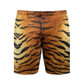 Мужские шорты спортивные с принтом Шкура Тигра в Новосибирске,  |  | Тематика изображения на принте: animal | skin | tiger | раскрас | тигр
