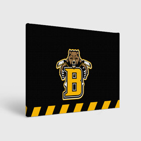 Холст прямоугольный с принтом BOSTON BRUINS в Новосибирске, 100% ПВХ |  | black | boston | bruins | hockey | ice | logo | nhl | sport | usa | бостон | брюинз | кубок | логотип | медведь | нхл | спорт | стэнли | хоккей