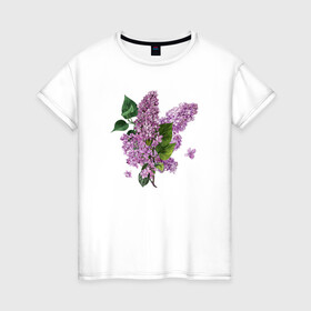 Женская футболка хлопок с принтом СИРЕНЬ АКВАРЕЛЬЮ в Новосибирске, 100% хлопок | прямой крой, круглый вырез горловины, длина до линии бедер, слегка спущенное плечо | акварель | акварельные | акварелью | бабочки | букет | букет из цветов | летние цветы | сиреневые цветы | сирень | цветы