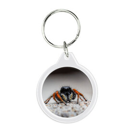 Брелок круглый с принтом Паук в Новосибирске, пластик и полированная сталь | круглая форма, металлическое крепление в виде кольца | Тематика изображения на принте: живность | животное | животные | насекомое | насекомые | паук | пауки | паучки | паучок