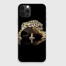 Чехол для iPhone 12 Pro Max с принтом ЭУБЛЕФАР  EUBLEPHARIS в Новосибирске, Силикон |  | Тематика изображения на принте: tegunvteg | геккон | гекон | зублефар | леопардовый геккон | эу | эублефар | ящерица