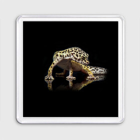 Магнит 55*55 с принтом ЭУБЛЕФАР  EUBLEPHARIS в Новосибирске, Пластик | Размер: 65*65 мм; Размер печати: 55*55 мм | tegunvteg | геккон | гекон | зублефар | леопардовый геккон | эу | эублефар | ящерица