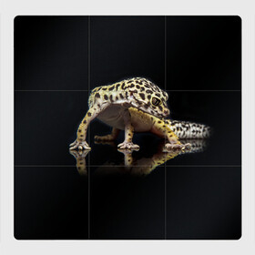 Магнитный плакат 3Х3 с принтом ЭУБЛЕФАР  EUBLEPHARIS в Новосибирске, Полимерный материал с магнитным слоем | 9 деталей размером 9*9 см | tegunvteg | геккон | гекон | зублефар | леопардовый геккон | эу | эублефар | ящерица