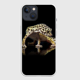 Чехол для iPhone 13 с принтом ЭУБЛЕФАР  EUBLEPHARIS в Новосибирске,  |  | Тематика изображения на принте: tegunvteg | геккон | гекон | зублефар | леопардовый геккон | эу | эублефар | ящерица